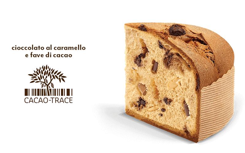 Dettaglio 4 Chocolates Panettone Dettaglio 4 Chocolates Panettone