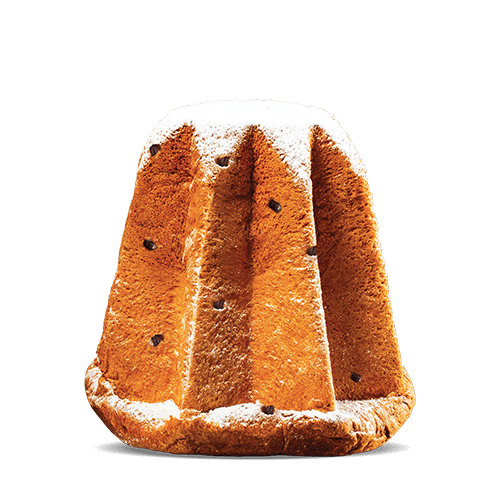 Chocolate Pandoro