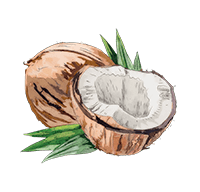 Coconut Coconut
