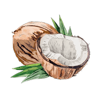 Coconut