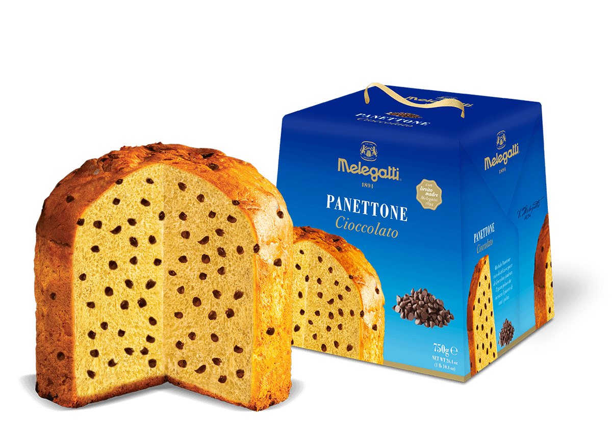 Chocolate Panettone