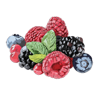 Frutti di bosco Frutti di bosco
