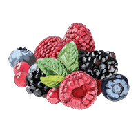 Mixed berries