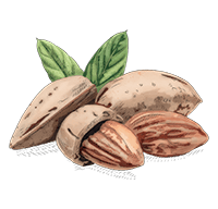 Amandes