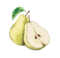 Pear