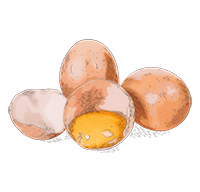 Eggs