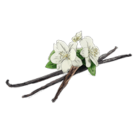 Vaniglia Vaniglia